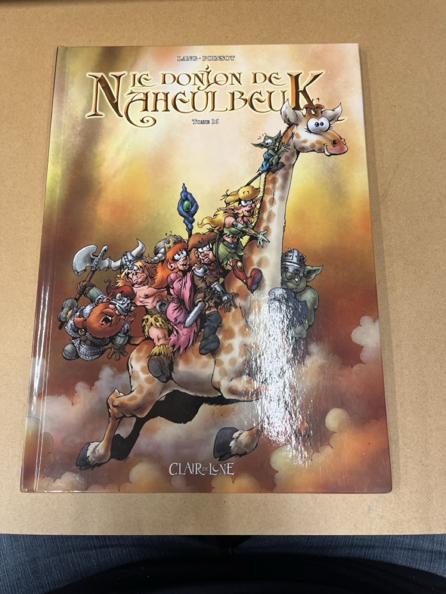 Fumetti: Le Donjon de Naheulbeuk Tome 16 – Usato da Onnens FR venduto da Daniel333