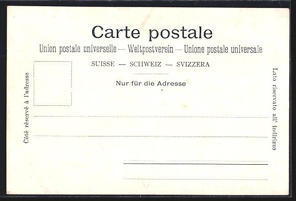Cartoline postali: AK Uster, Schloss, Ortsansicht – Usato da Berlin venduto da bartko-reher 1