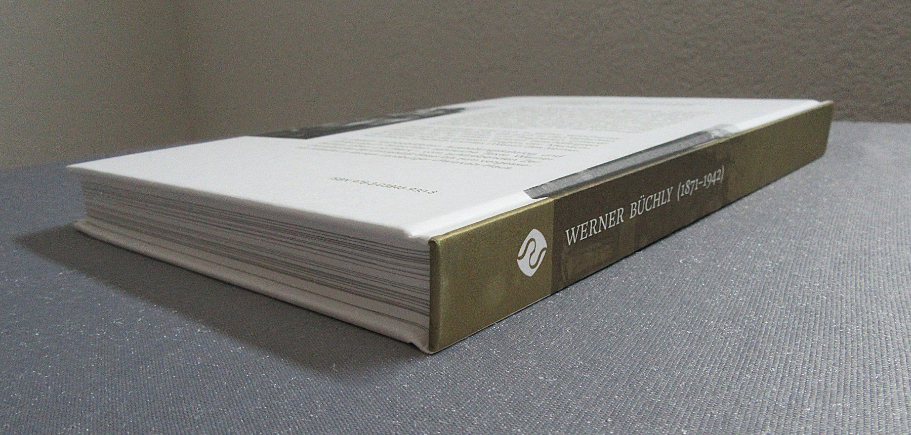 Libri: Helden und Propheten - Der neu entdeckte Werner Büchly – Usato da Auenstein venduto da Padabimbim 9