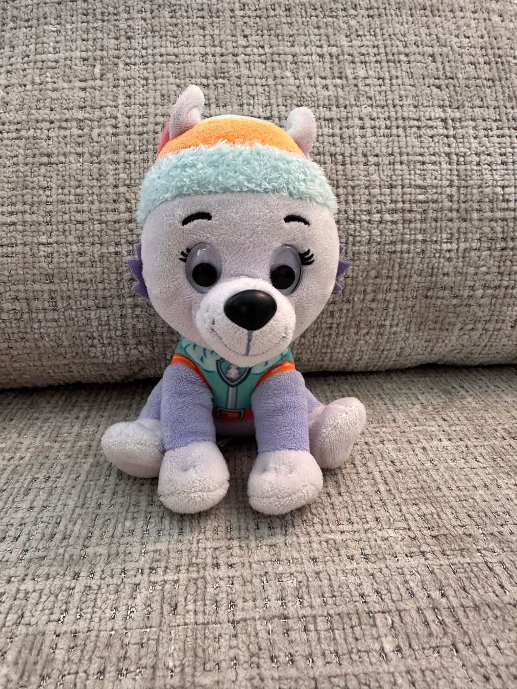 Giocattoli: Paw Patrol Plüschtier Everest – Usato da Abtwil SG venduto da nur_6nx6