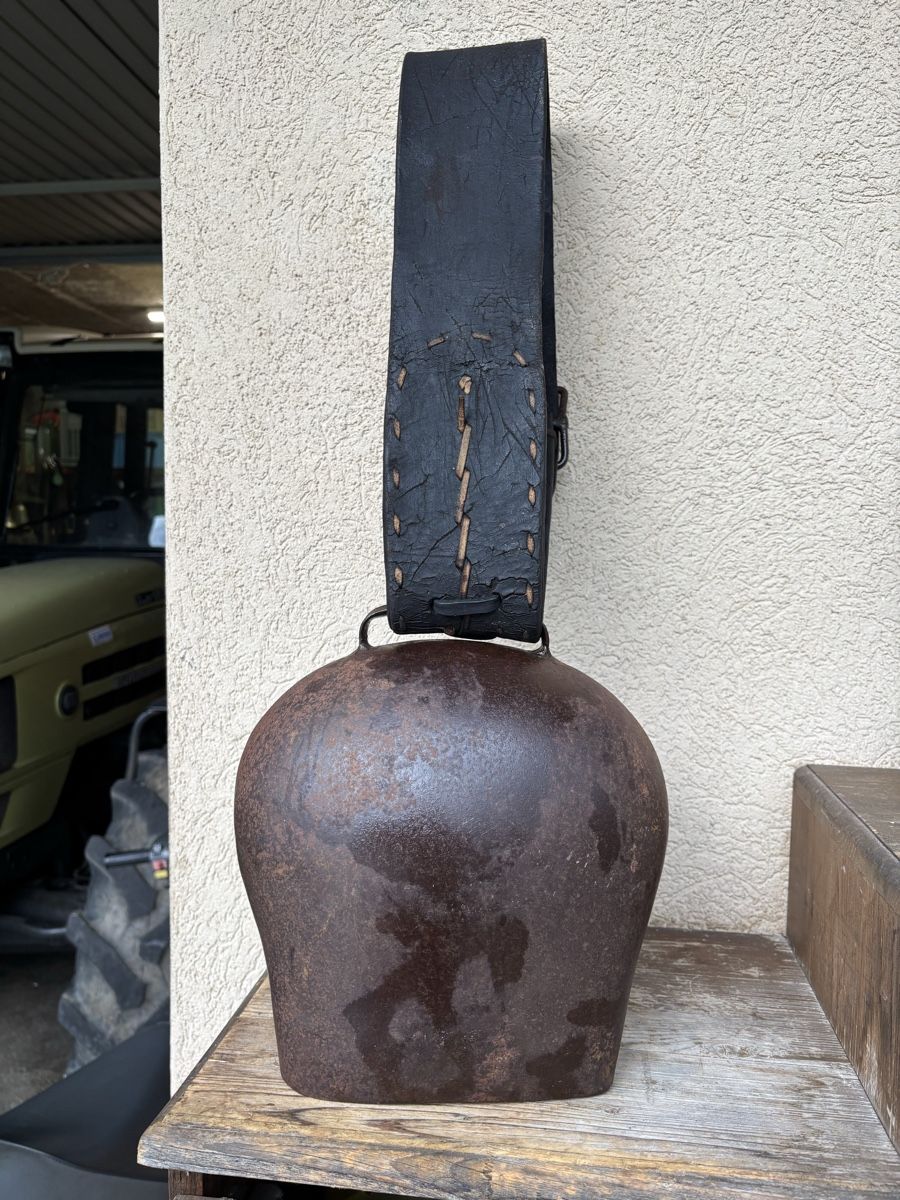 Campanacci mucche: Gothardt NR 9. – Difettoso da Schangnau venduto da Roseggli82 5