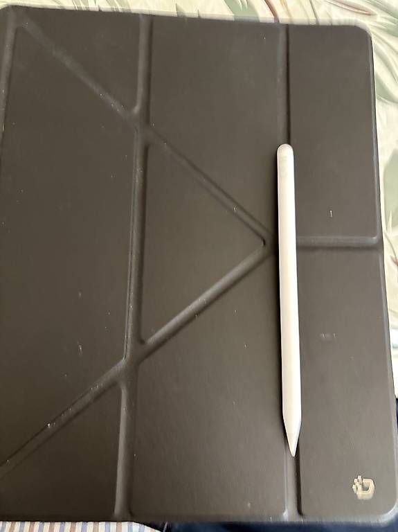 Apple Tablet PC: iPad Pro 13 (5eme GEN) – Gebraucht aus Lucens von jbz46 1