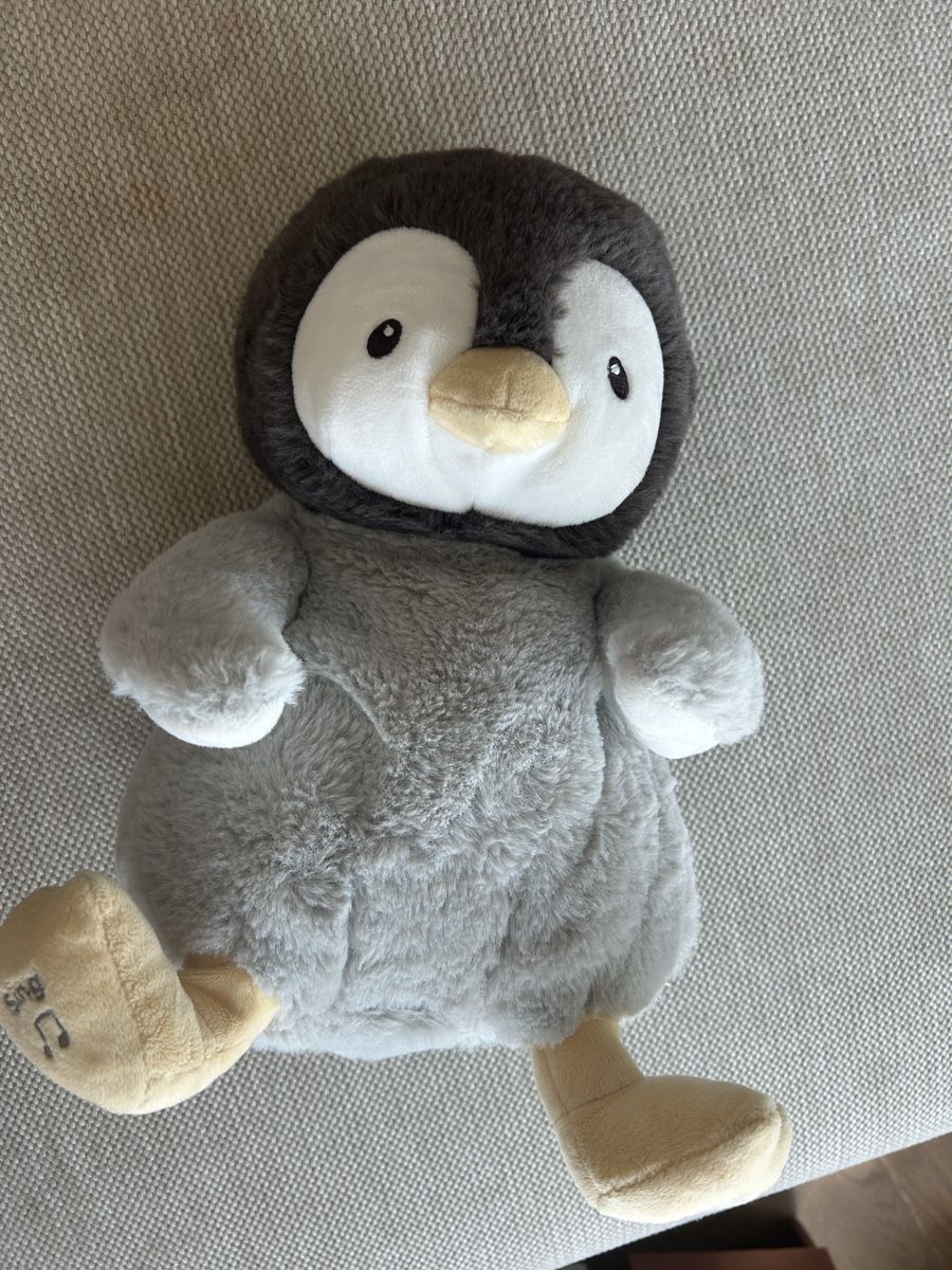 Spielzeuge: Singing Pingouin – Gebraucht aus Epalinges von kat_lyp6
