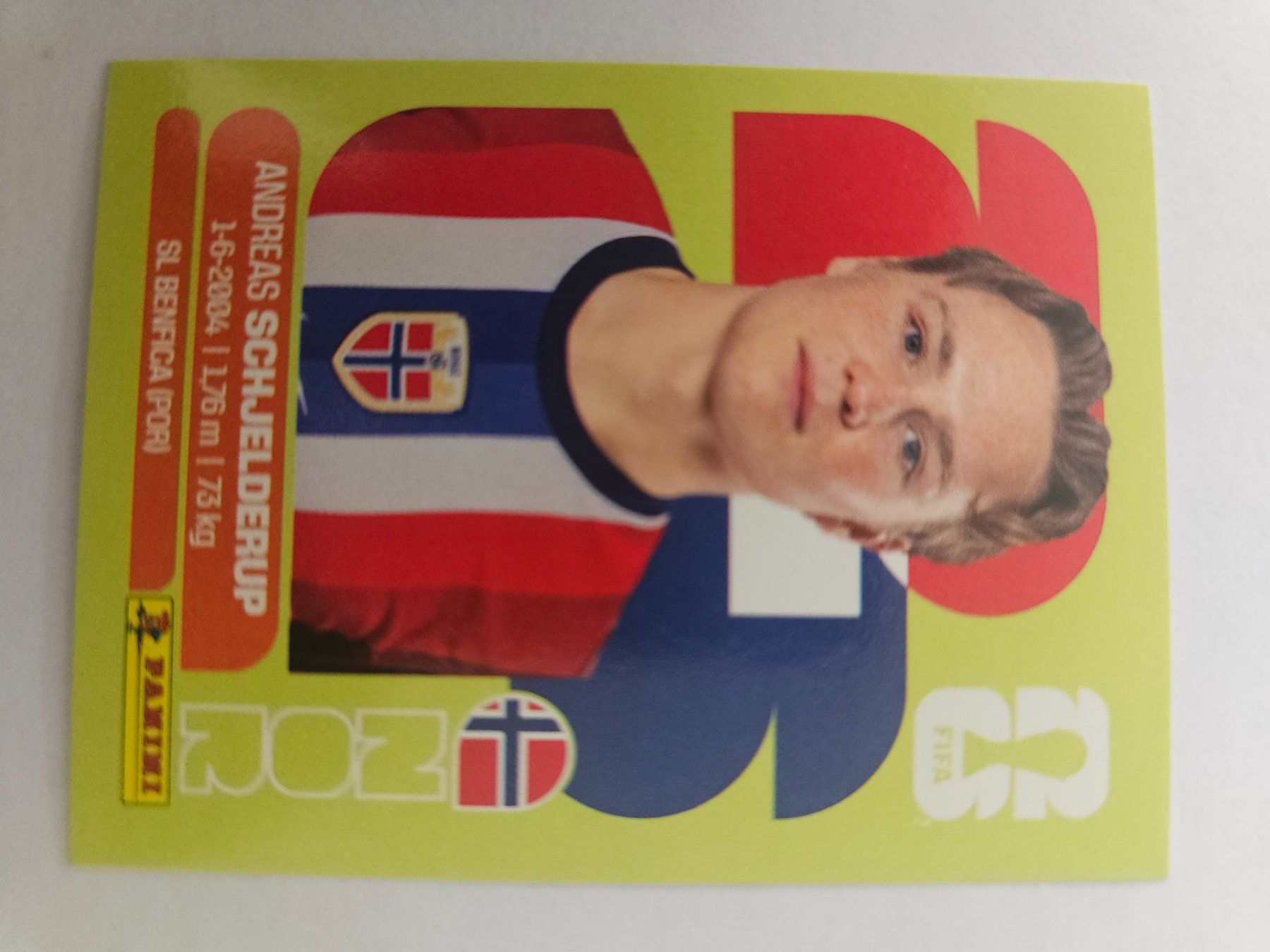 Panini Cartes à collectionner: NOR12 – D'occasion à Würenlingen par Dinli