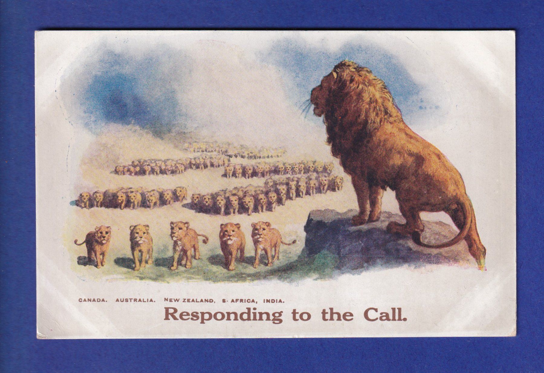 Ansichtskarten: LION - Responding to the call – Gebraucht aus Pully von nicecards-shop