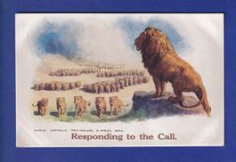 LION - Responding to the call