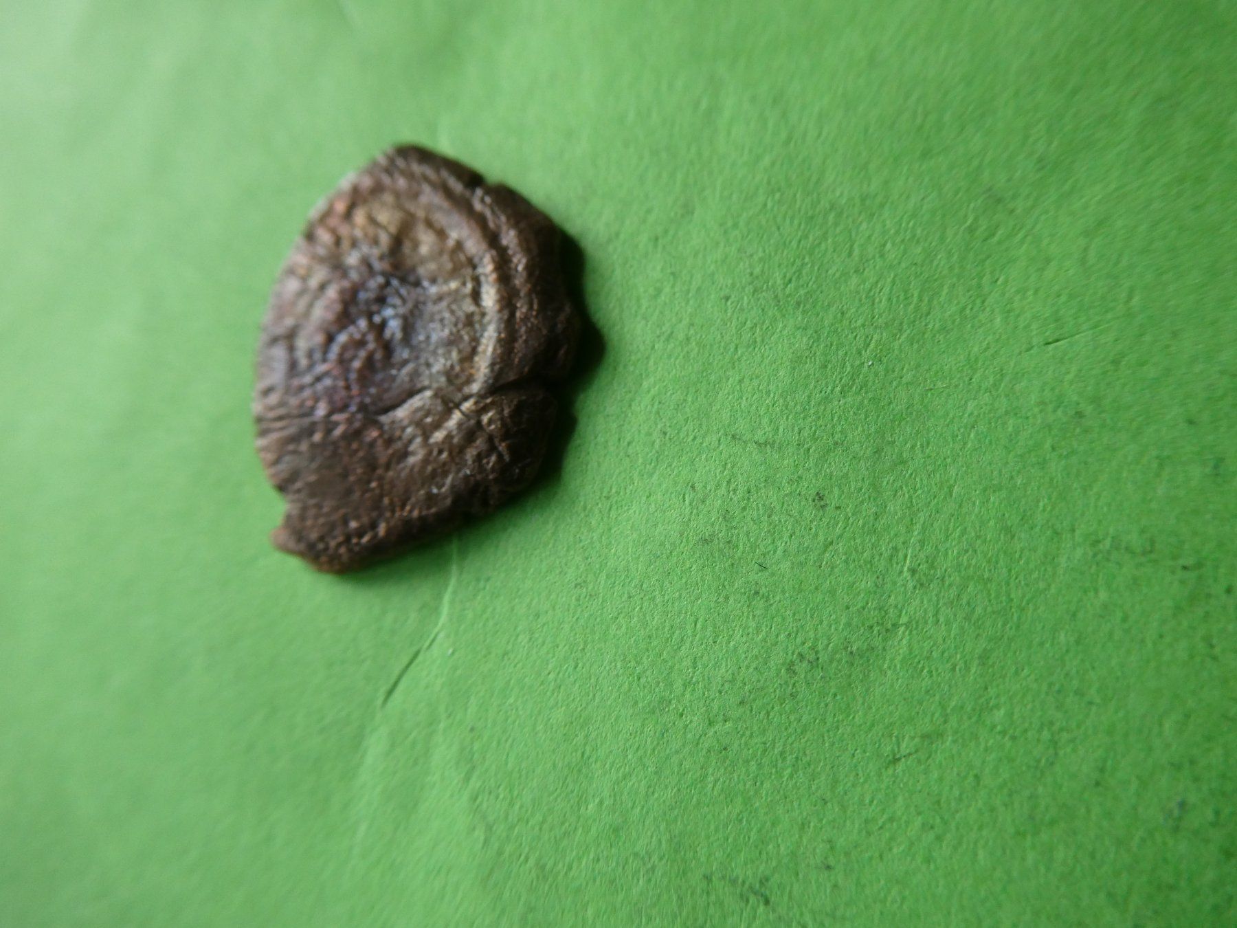 Alle Münzen: uralte Bronzemünze 18 mm     2.00  g – Gebraucht aus Hinterforst von Rohusri 3