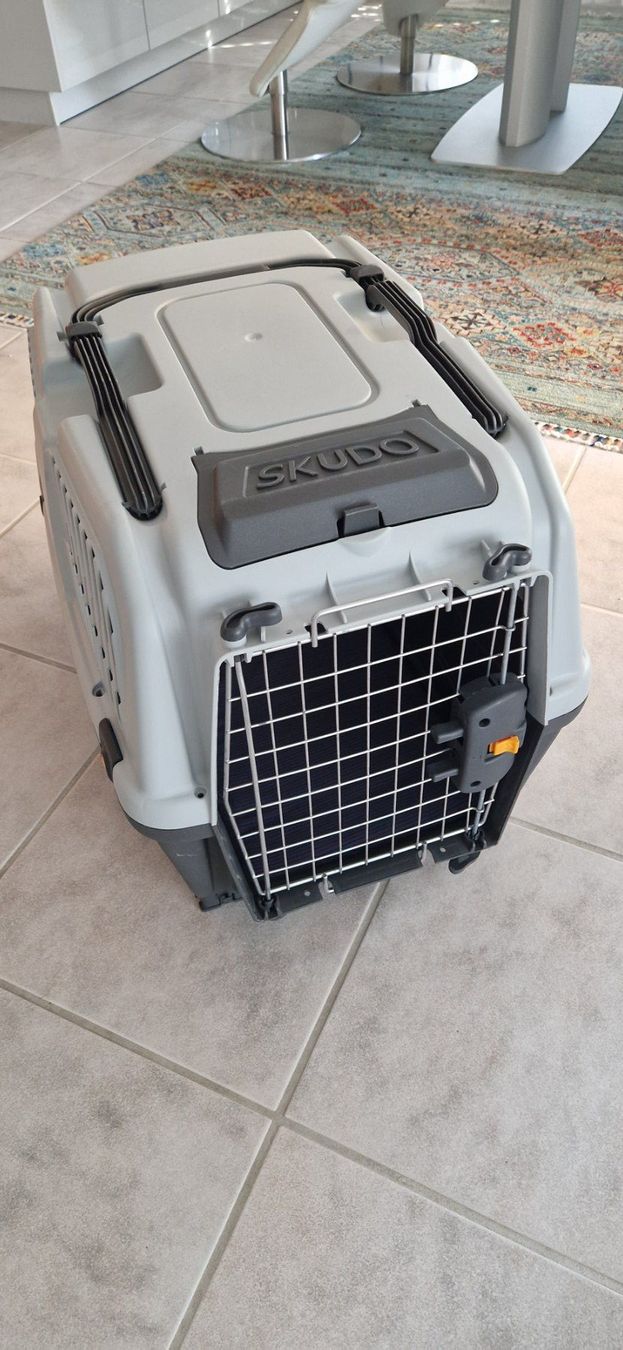 Käfige, Transport & Sicherheit: Hunde-Transportbox – Gebraucht aus Dällikon von SuggiBandit 2