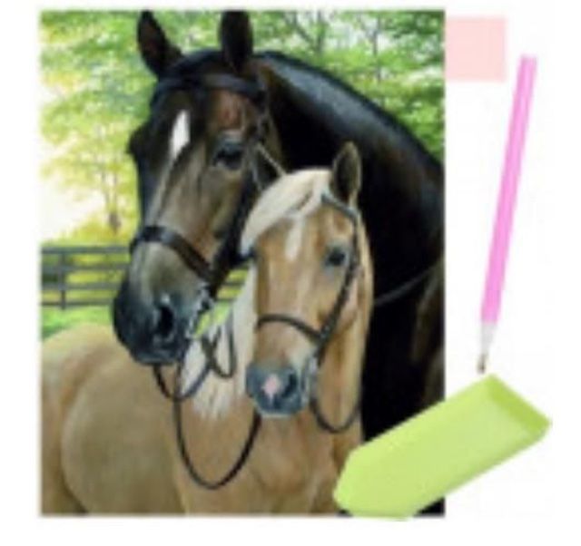 Bastelsets: Diamond Paintings Diverse Motive 2 – Neu und originalverpackt aus Würenlos von sul_cm8q 2