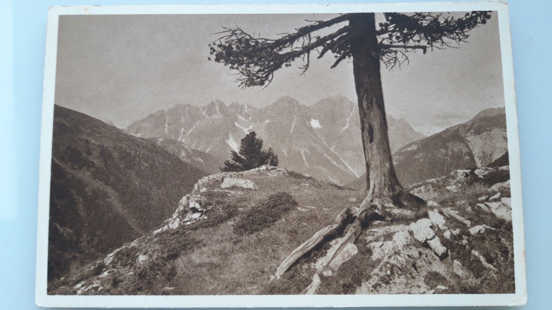 Cartoline postali: Pisocgruppe von Plazèr aus – Usato da Sargans venduto da nicsam1815