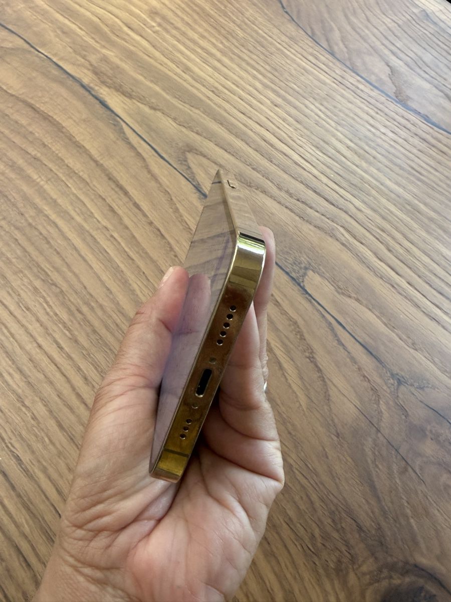 Apple Telefoni cellulari / Smartphones: iPhone 13 Pro  Gold – Usato da Fehraltorf venduto da Mageth 4