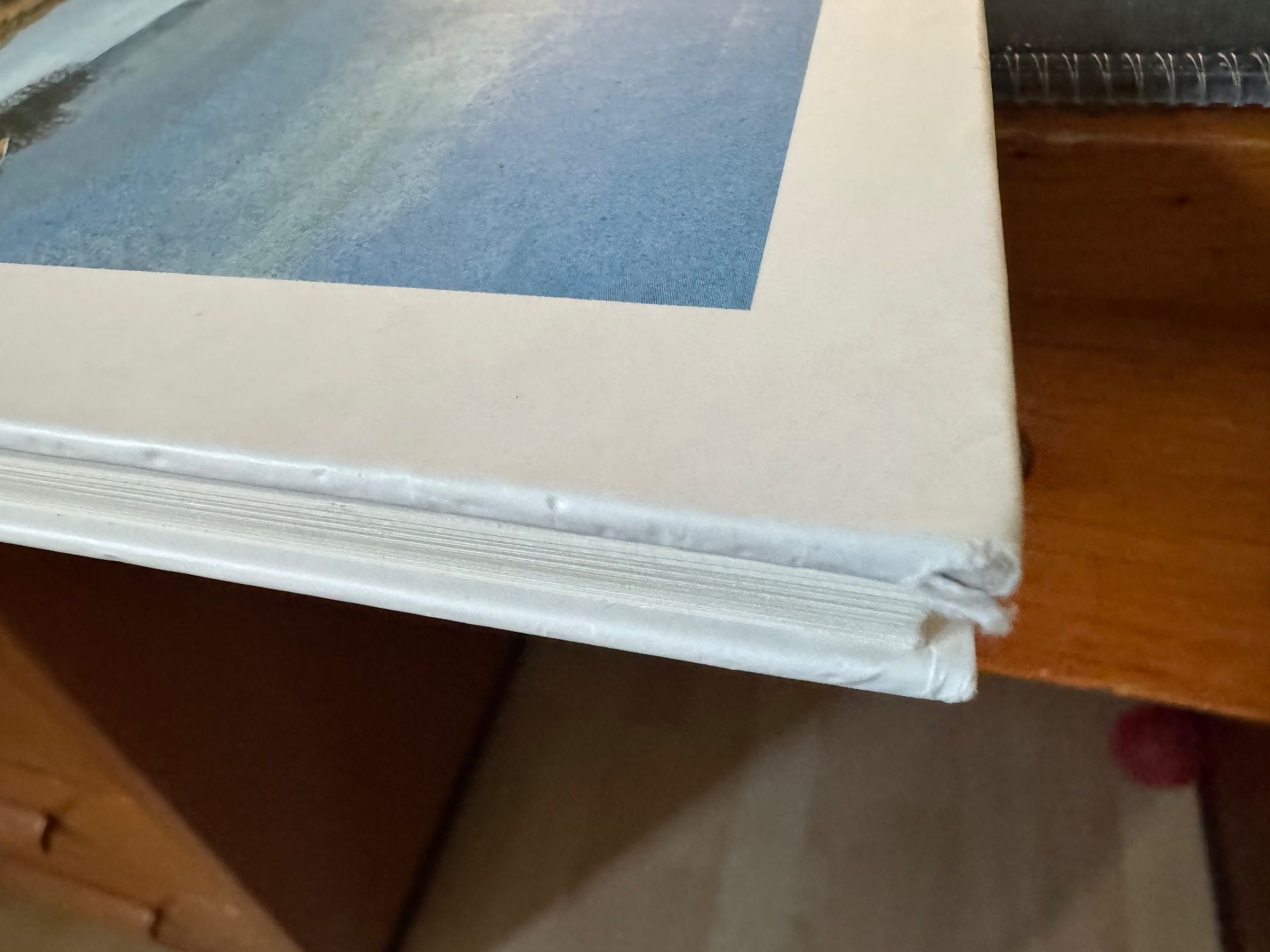 Libri: Winterweide von Peter Bergmann – Usato da Bäriswil BE venduto da der_salat 4
