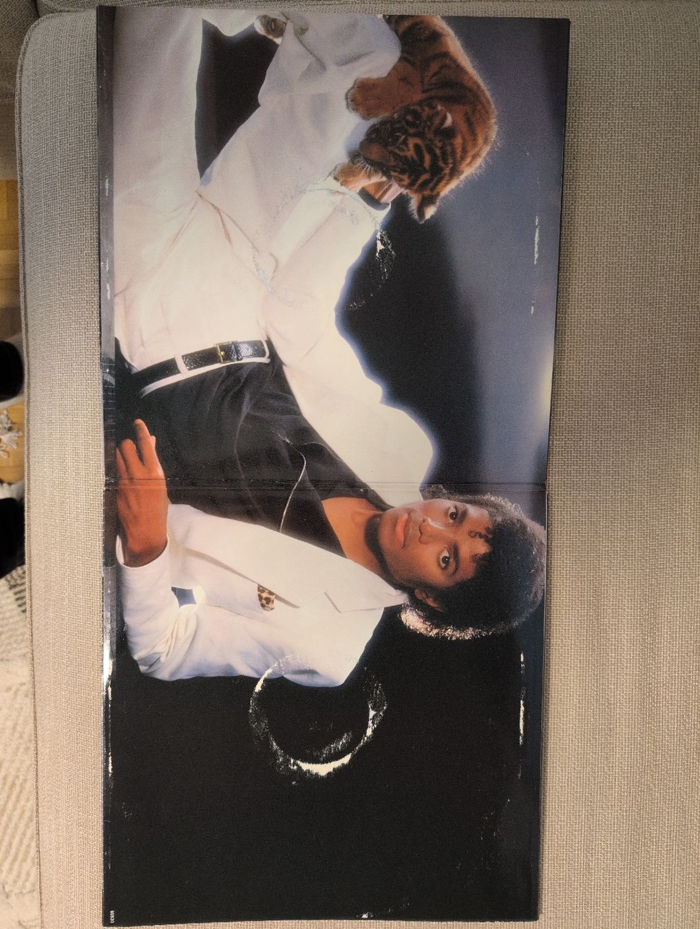 Dischi in vinile: Michael Jackson Thriller Schallplatte 1982 – Usato da Zürich venduto da Jannkee 3