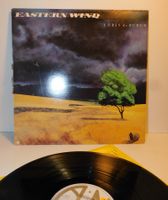 Neue Fundschätze LP Schallplatte Chris de Burgh 1980  Easter