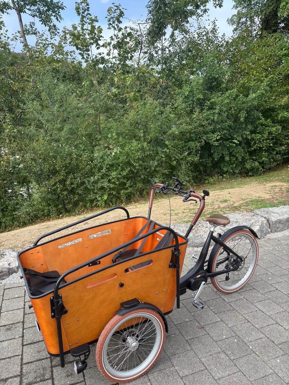 Ego Movement Biciclette: Cargobike EGO Movement Big Lebowski – Nuovo (secondo la descrizione) da Rupperswil venduto da Abcsale 4