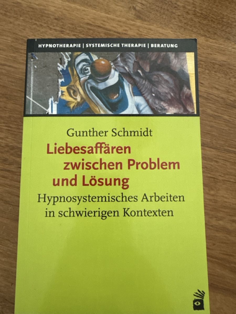 Bücher: Buch: Liebesaffaeren zwischen Problem & Lösung – Neu (gemäss Beschreibung) aus Wittinsburg von redrose296