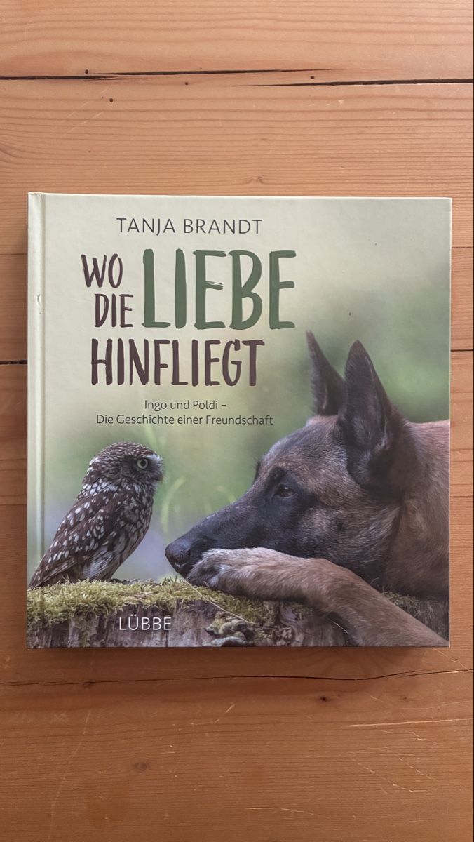 Libri: 4 Bücher Tanja Brandt – Usato da Pignia venduto da nelson80 3