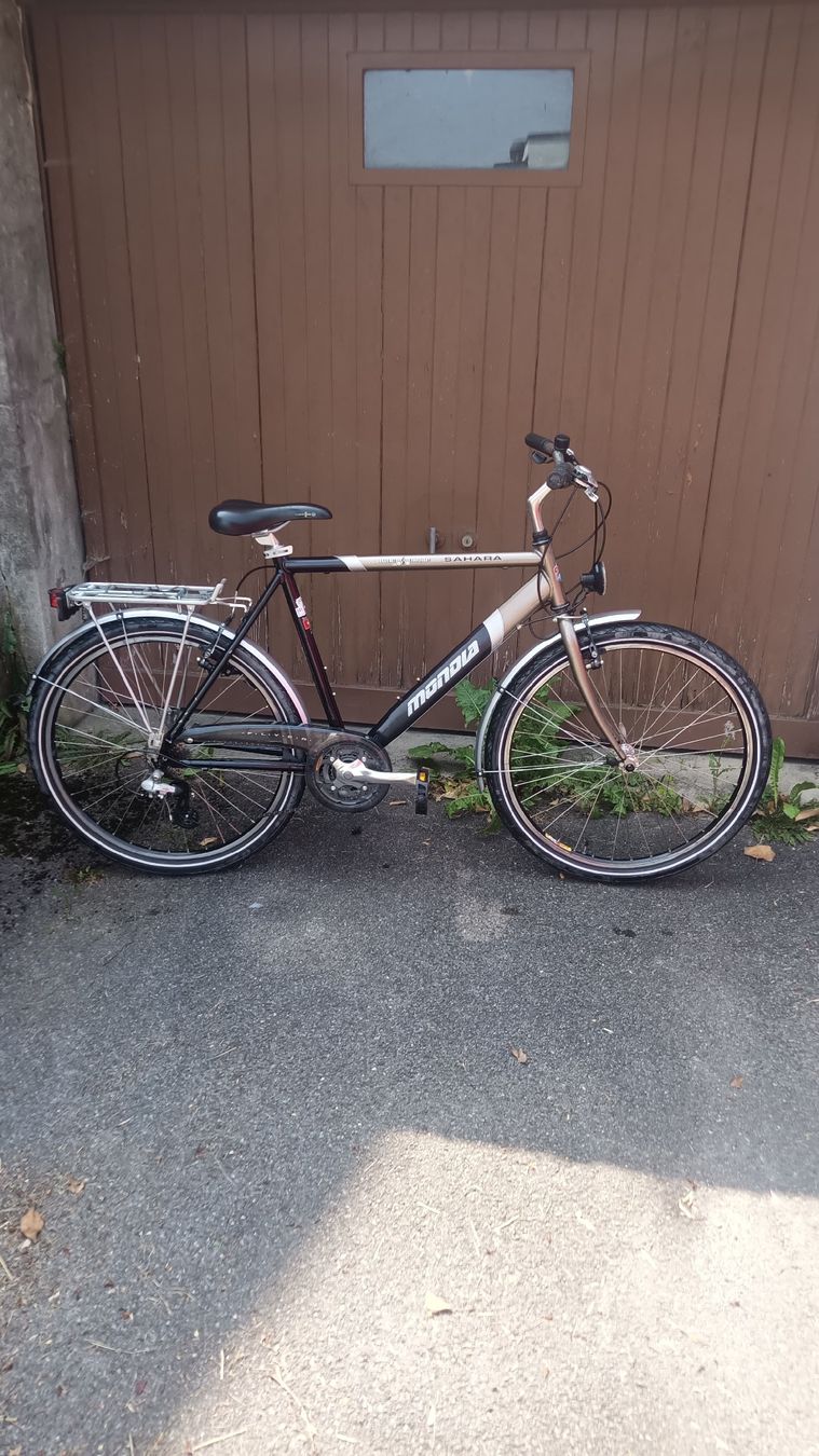 Biciclette: Herrenvelo zu verkaufen – Usato da Wattenwil venduto da baumgartnerluk99 4
