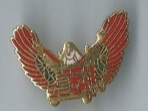 Placchette & Badge: LKW  PIN – Usato da Zürich venduto da t24_de