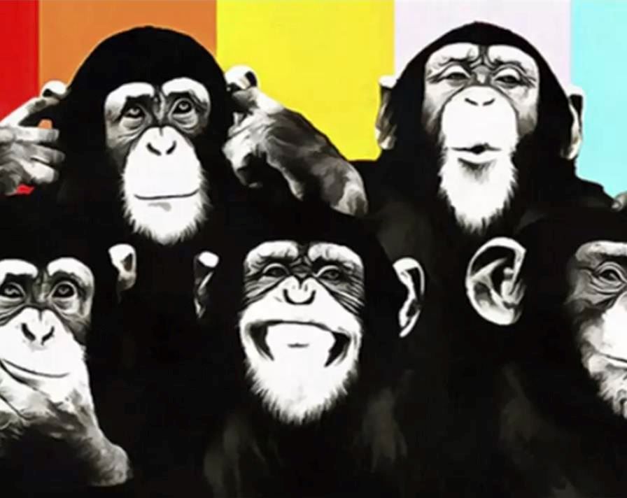 Malen nach Zahlen - Affen | Kaufen auf Ricardo