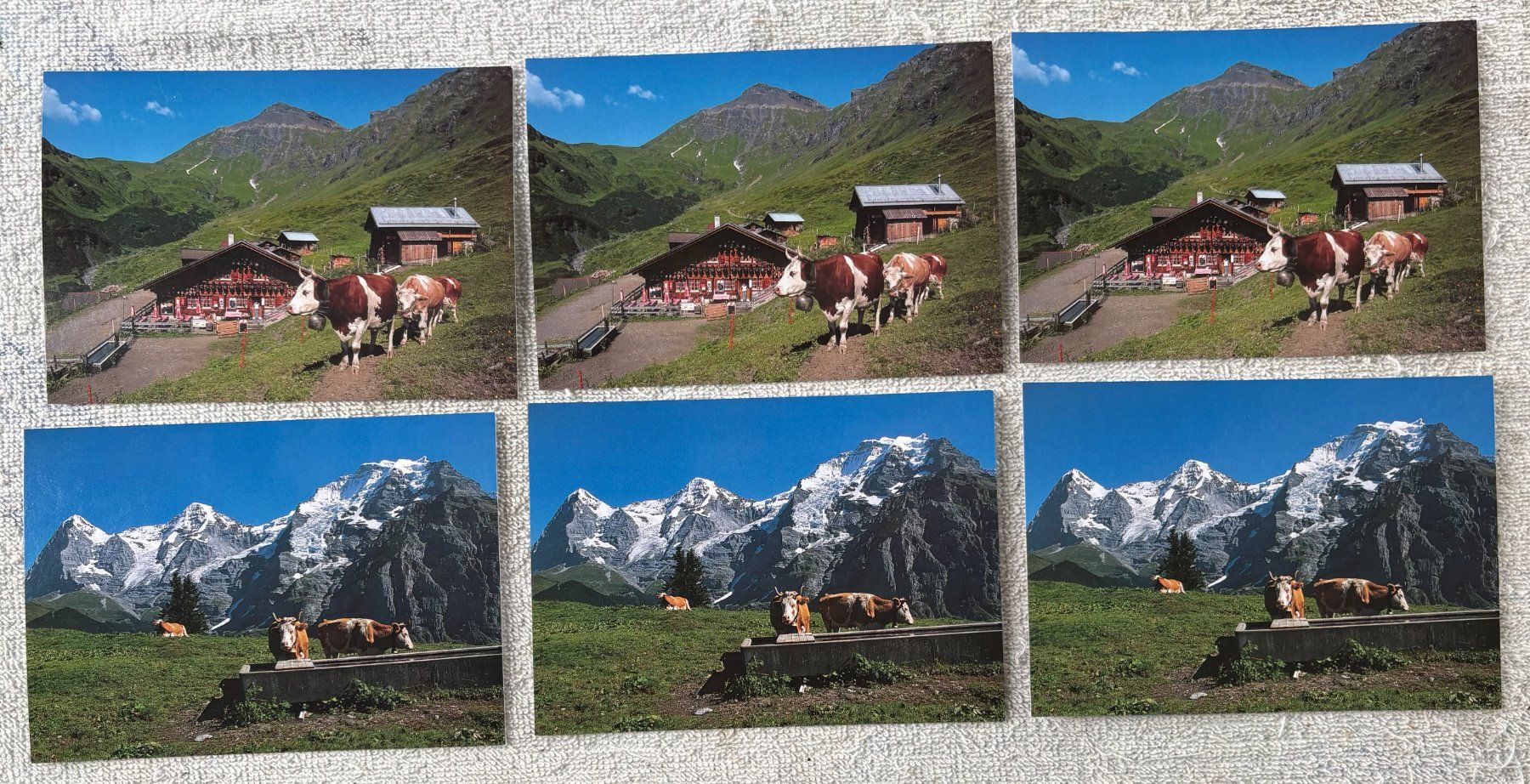 Cartoline postali: LOT ANSICHTSKARTEN KÜHE – Usato da Ostermundigen venduto da crazy-horse-1840