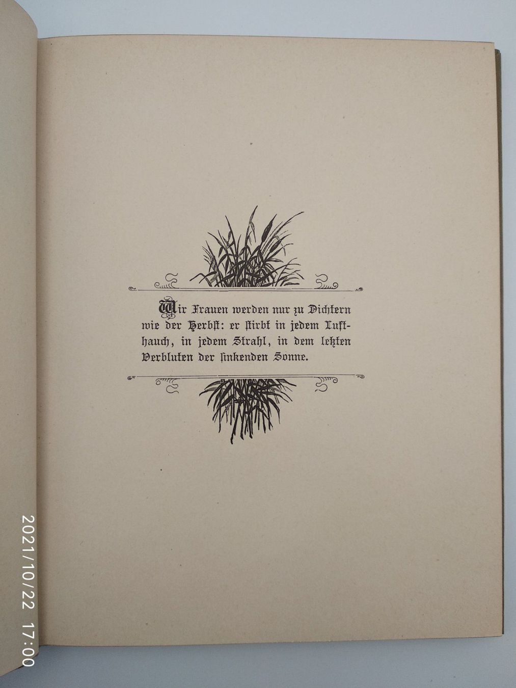 Libri: SYLVA - HEIMATH - 1891 EA – Usato da Goldach venduto da Gaip 3