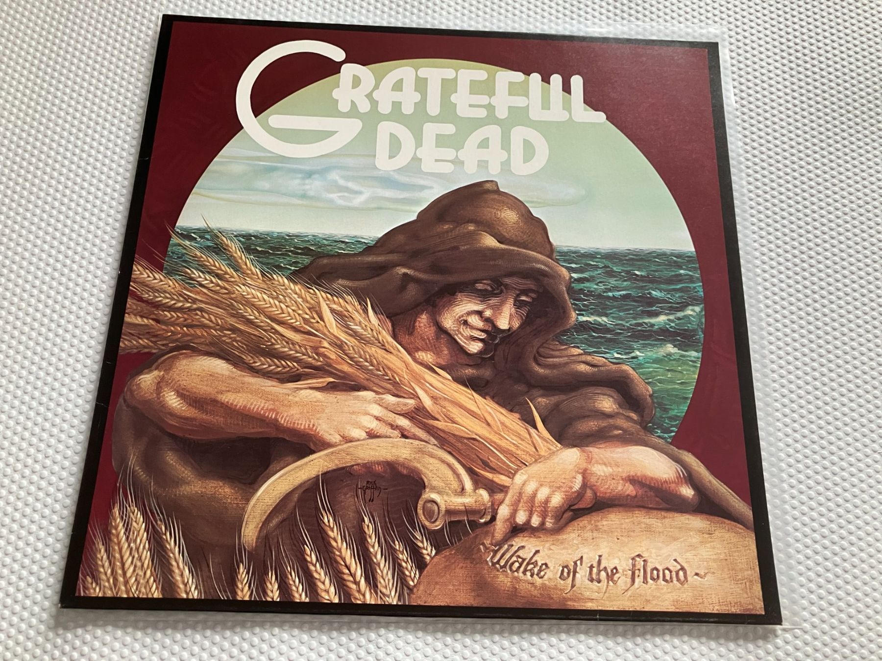 Dischi in vinile: The Gratefuld Dead – Usato da Aarwangen venduto da Jukebox3