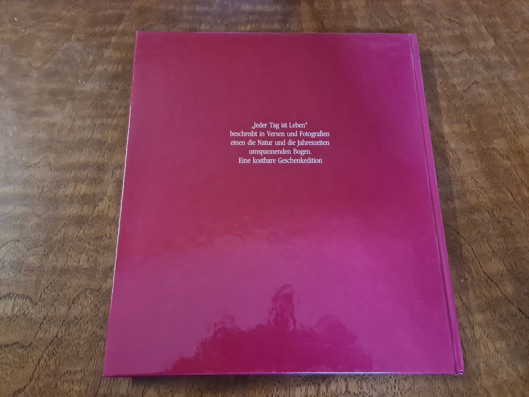 Libri: Jeder Tag ist Leben – Usato da Erstfeld venduto da Uhu1980 3