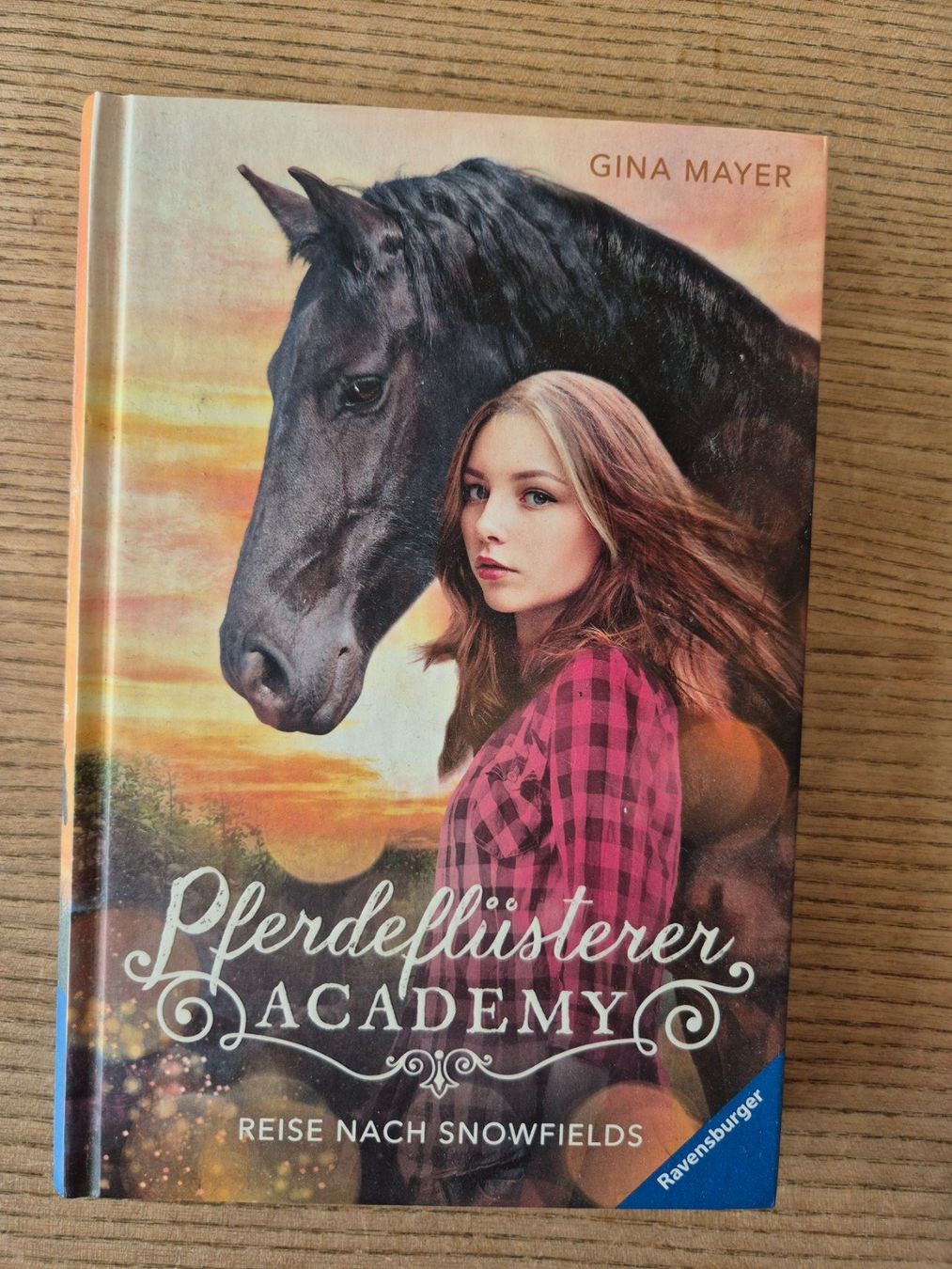 Bücher: Pferdeflüsterer Academy – Neu (gemäss Beschreibung) aus Bourguillon von sibzoy