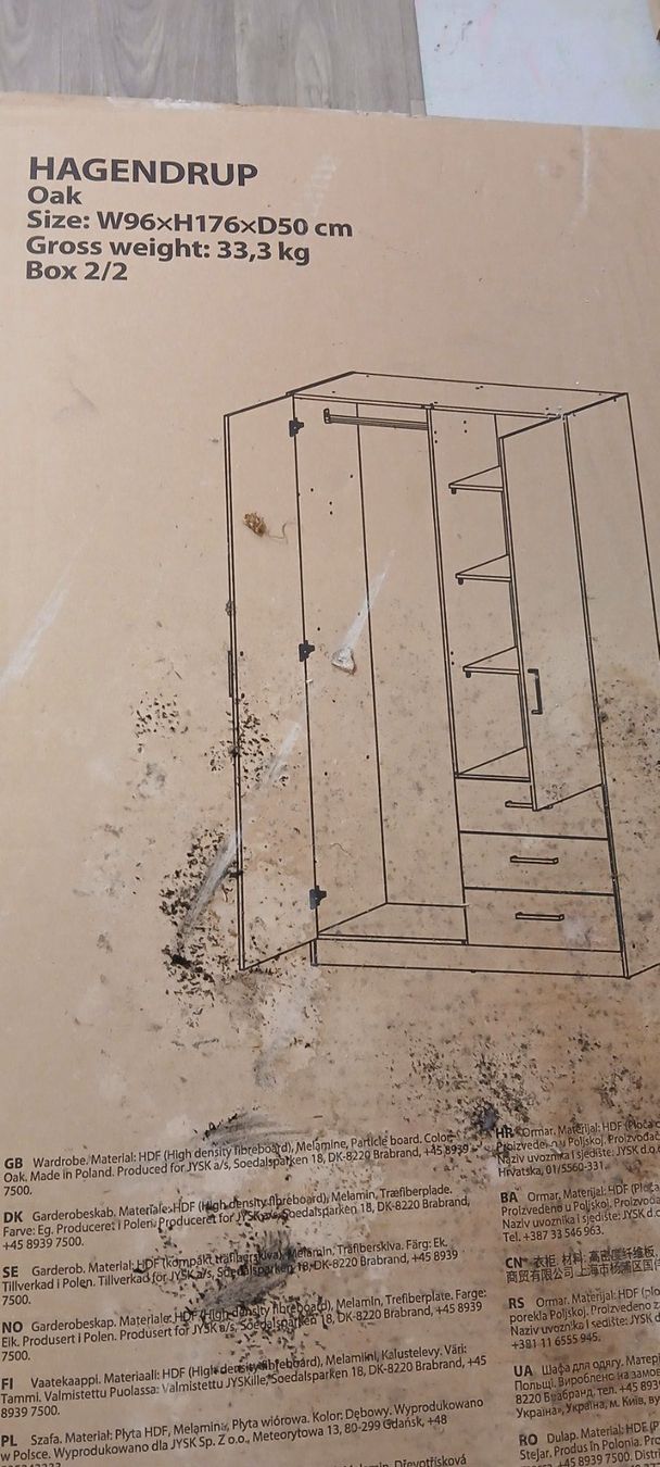 Armadi: HAGENDrup Kleiderschrank Eiche 96x176x50 cm neu – Nuovo e nell'imballaggio originale da Bubikon venduto da Kuramar
