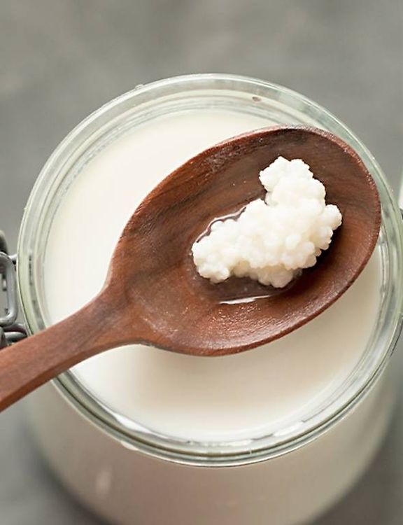 Kombucha Kefir (D&amp;#39;occasion) à Cudrefin pour CHF 8 – retrait uniquement ...