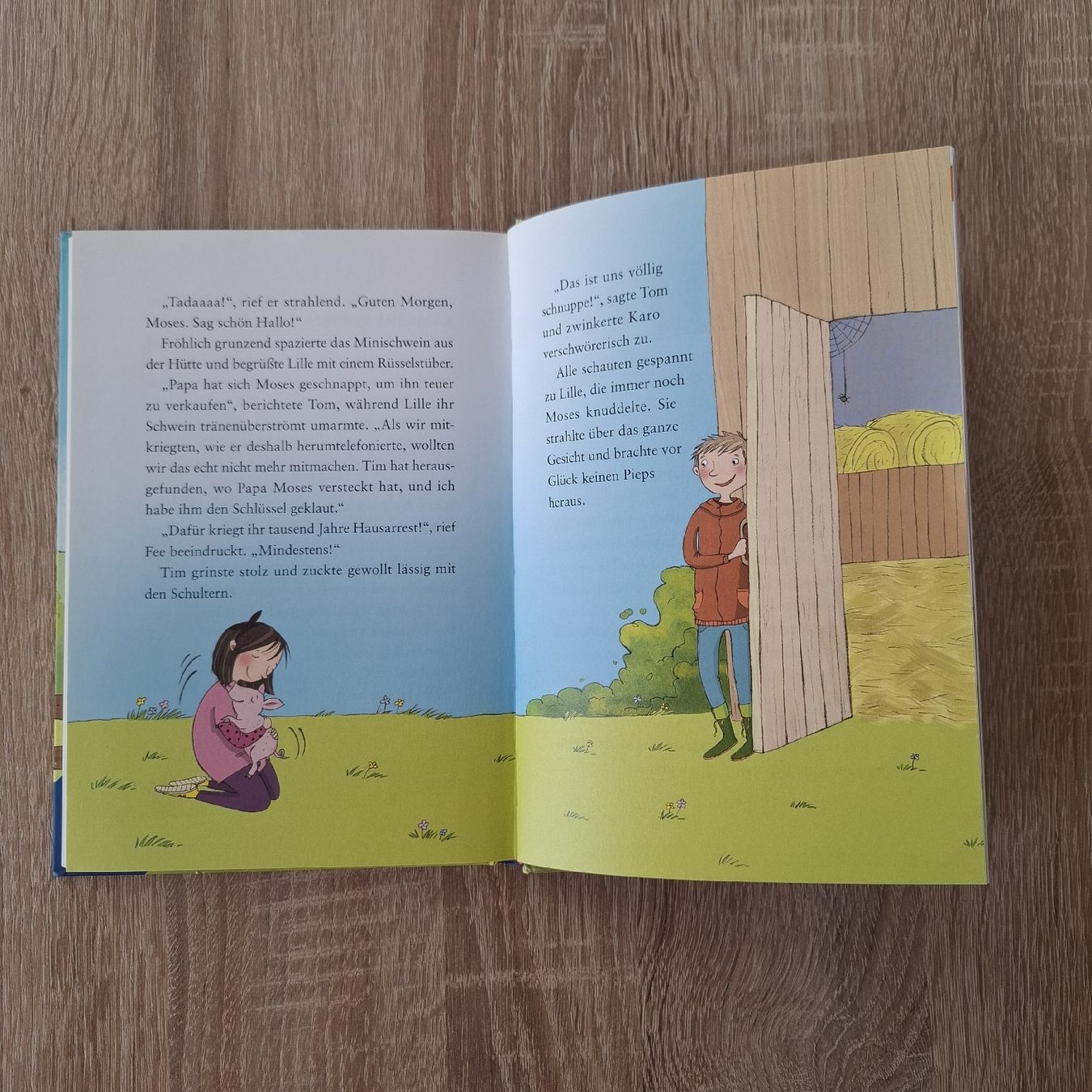 Libri: Die frechen Vier - Saugute Ferien – Usato da Hägglingen venduto da Pilipadin 3