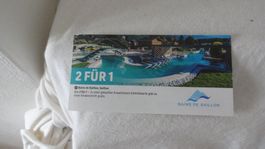 BON 2 Für 1 - Bains de Saillon
