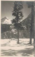 Arosa Motiv an der plessur