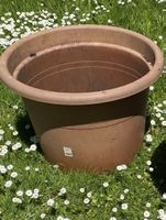 Grosser Pflanztopf / Blumentopf gebraucht!
