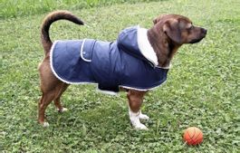 Hundemantel Teddy  Grössen: XS, M, L+XL