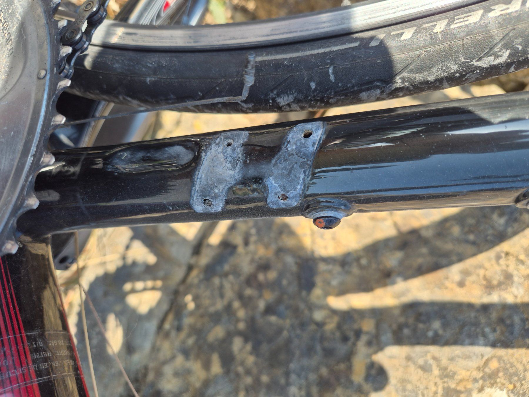 Scott Biciclette: Rennrad Carbon Ultegra – Difettoso da Bilten venduto da ph_st 1