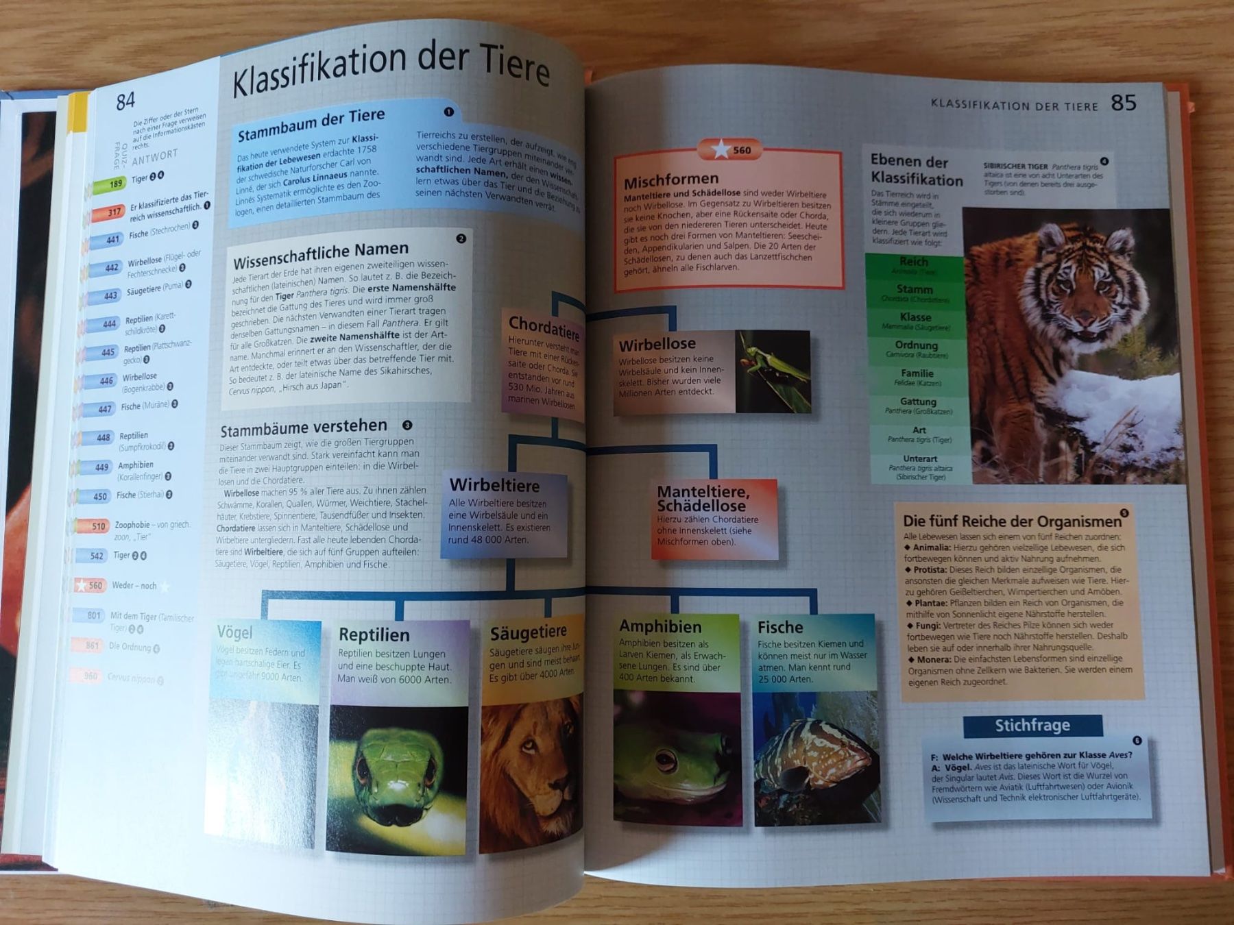 Libri: Reader's Digest Wissenswelt. Wunderbare Tierwelt – Usato da Urtenen-Schönbühl venduto da Kahru 6