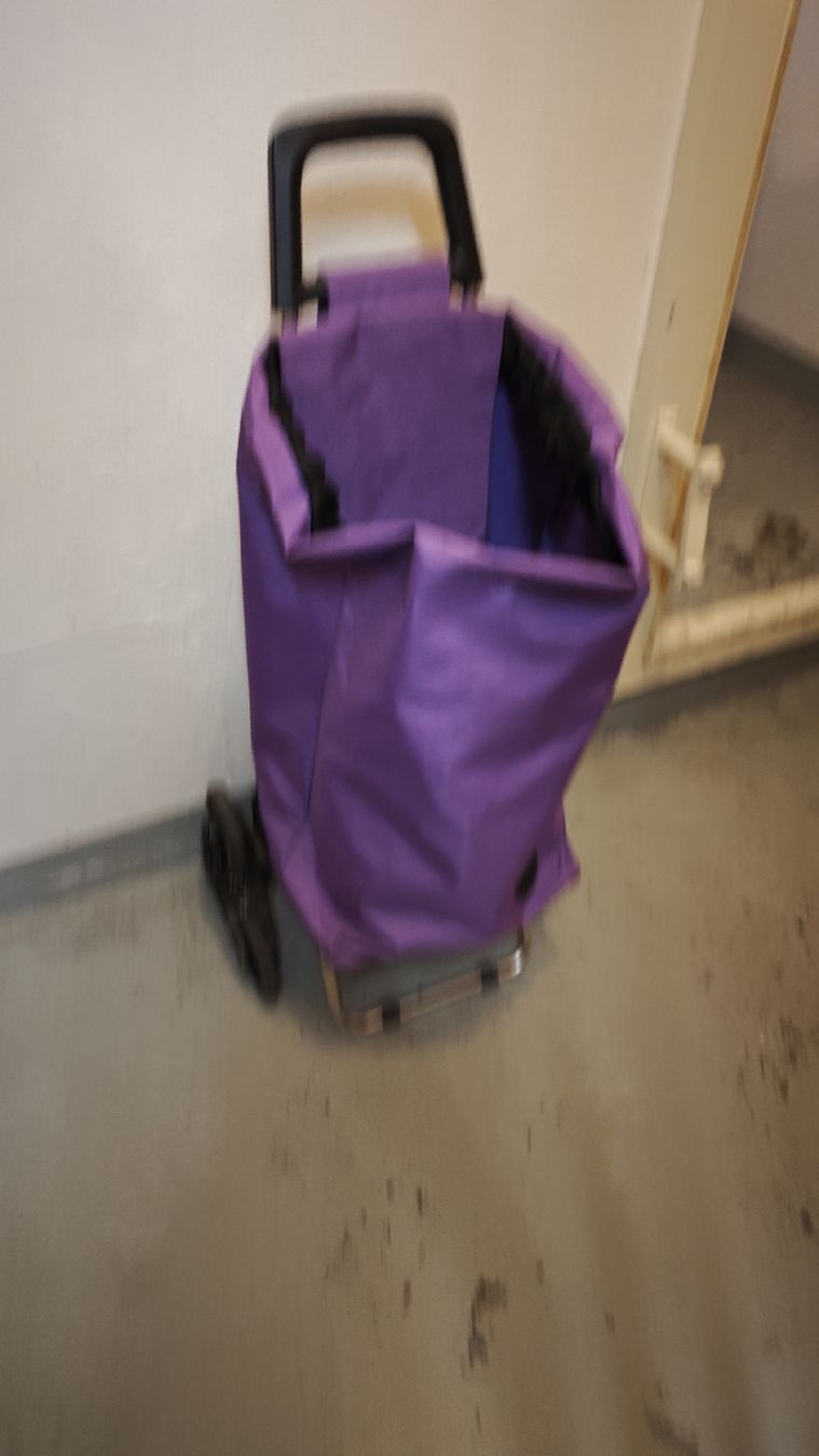 Autres articles pour la maison: Treppensteiger Einkaufstrolley Shopping Trolley – D'occasion à Dietikon par jav_ryj6