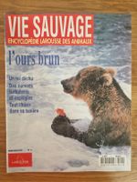 Vie sauvage - l'ours brun