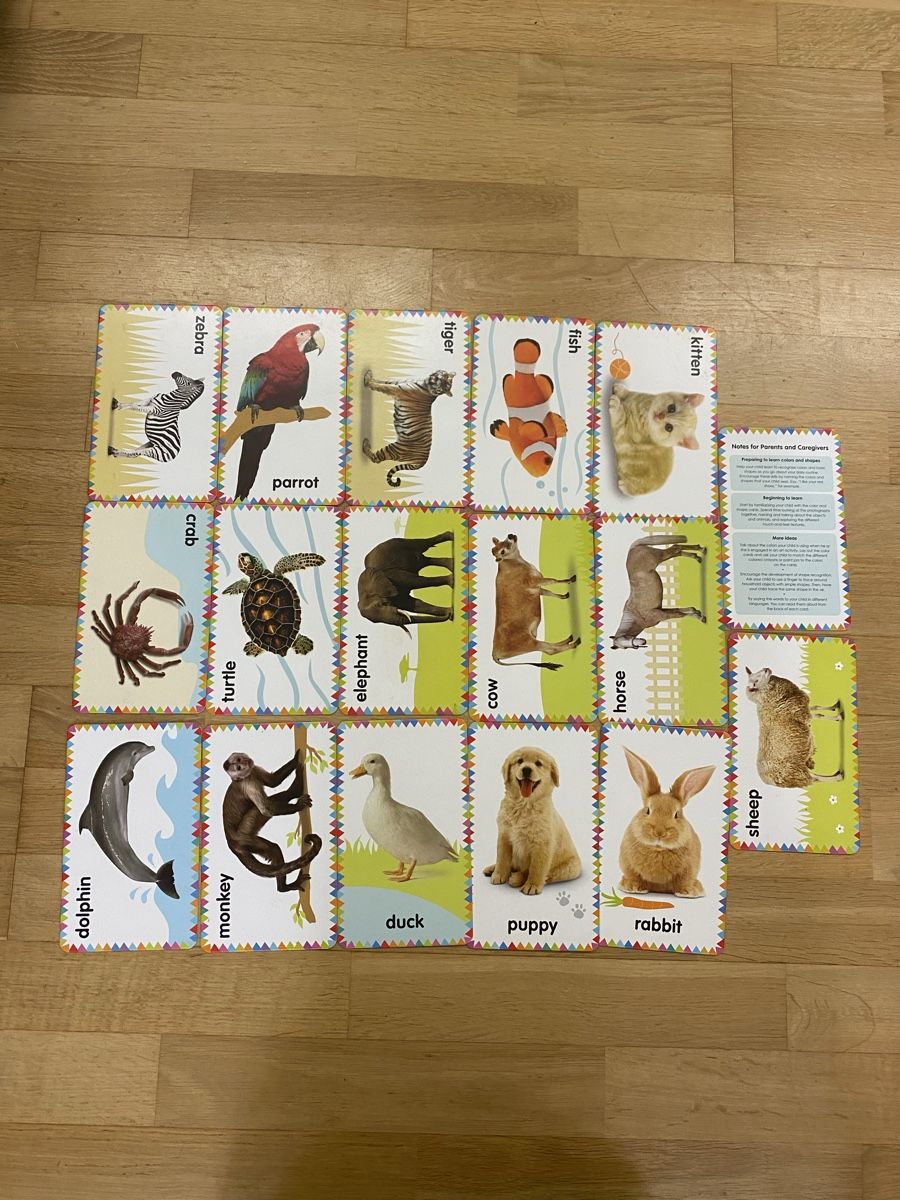 Giochi: Montessori Sensory Cards: My First Animals DK – Usato da Zürich venduto da Mariaov 1