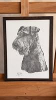 Bleistiftzeichnung Hund Airedale Terrier M Sibley gerahmt