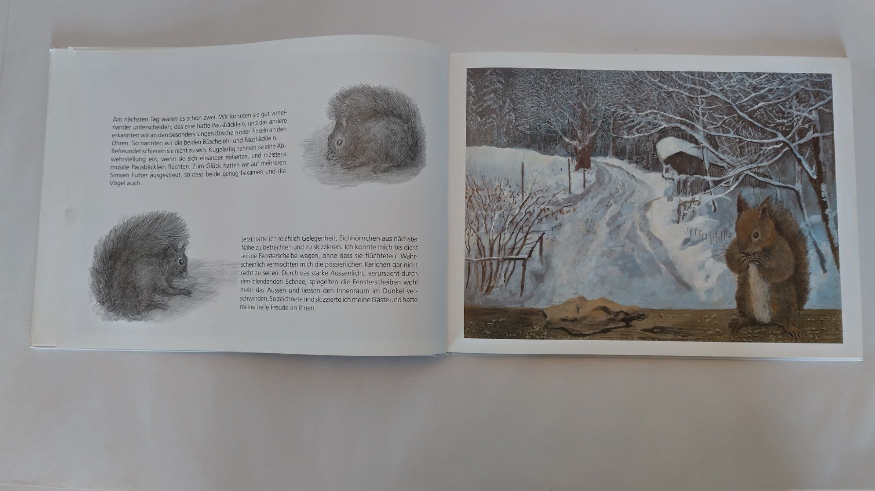 Bücher: Peter Bergmann - Eichhörnchen auf Besuch / Bilderbuch – Gebraucht aus Bellach von JingleJerry 5
