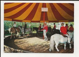 AK ca.1970 Ponyreiten Knie's Kinderzoo Rapperswil 😍