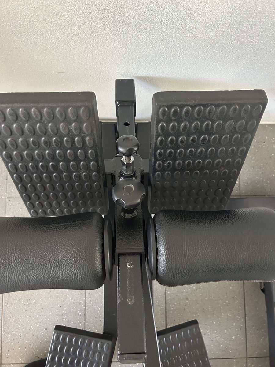 Hometrainer: Tbar Row - Panatta Fit2000 – Usato da Locarno venduto da Berserkr96 1