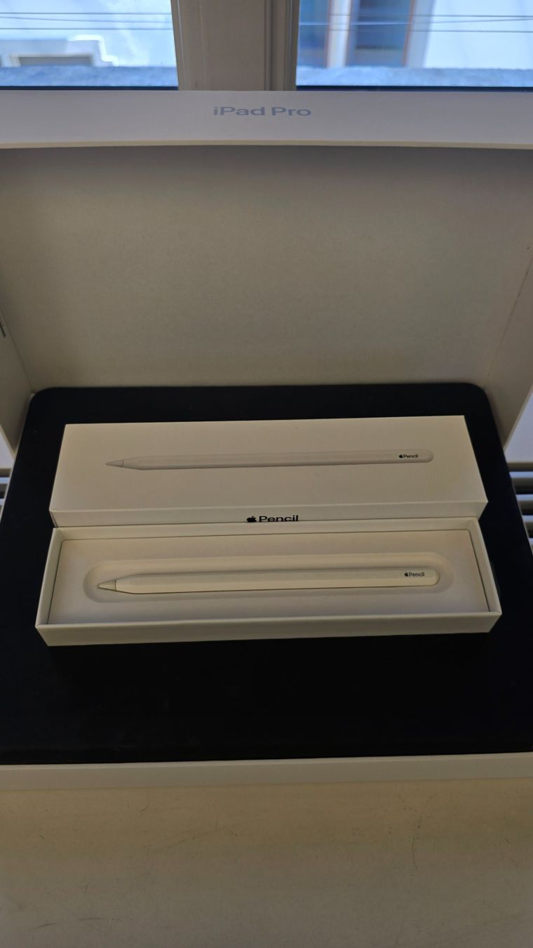 Apple Tablet PC: iPad Pro 12.9 " / Zoll, 4. Generation (9) – Gebraucht aus Winterthur von GreenSkyline 3