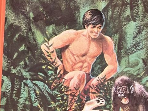 Fumetti: Tarzan von Edgar Rice Burroughs - 1970 – Usato da Bichwil venduto da Bac2 1