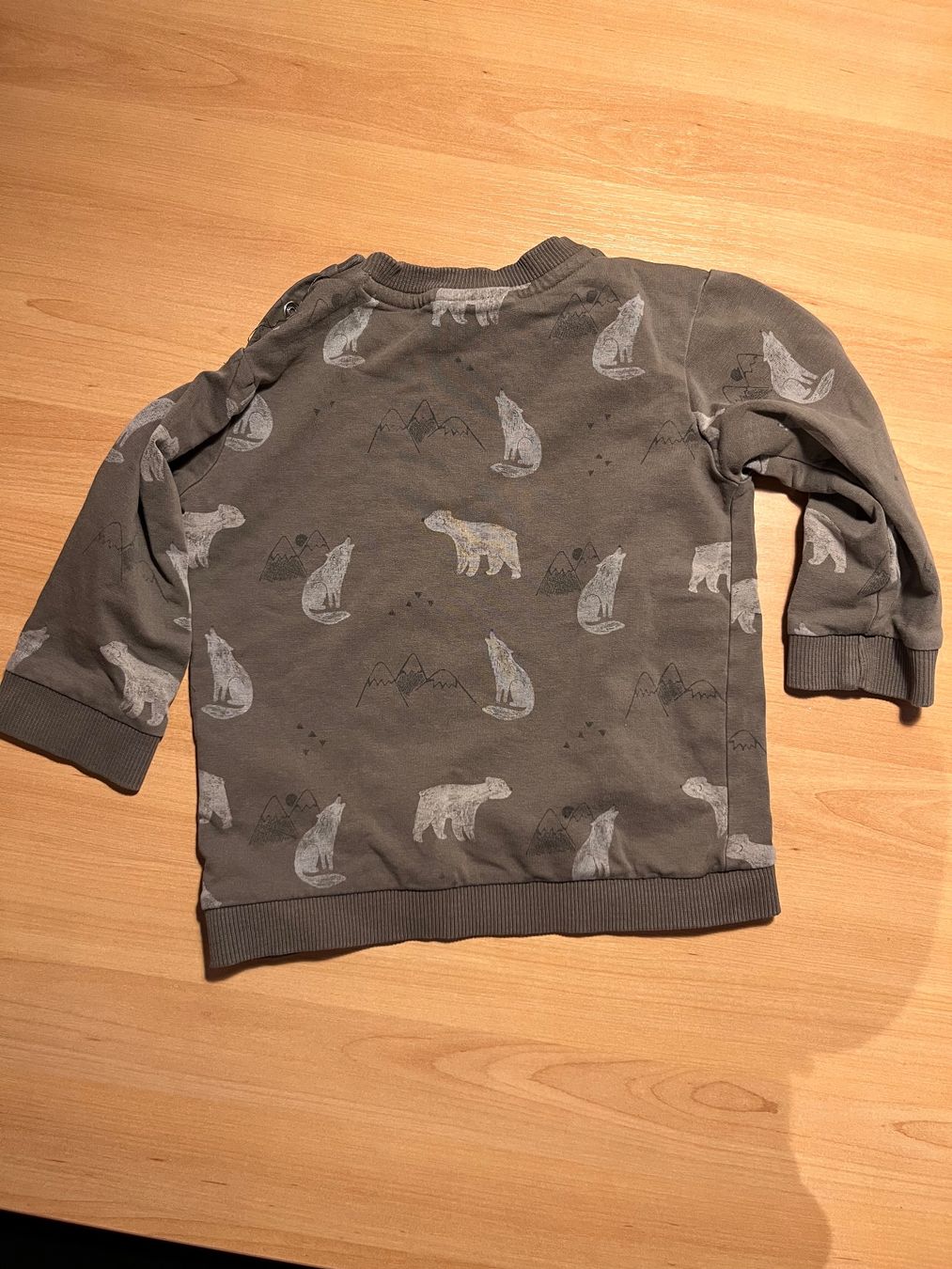 Feetje Pullover & Sweatshirts: Kinder Pullover feetje Grösse 80 Bären Wölfe – Gebraucht aus Ziefen von Madame1982 1