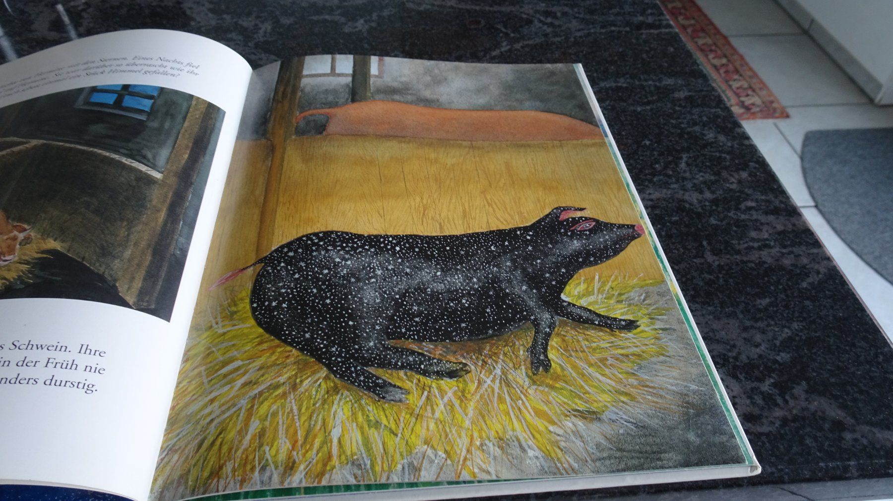 Bücher: HERMINE das Schwein   Bilderbuch – Gebraucht aus Zürich von Roulet 3