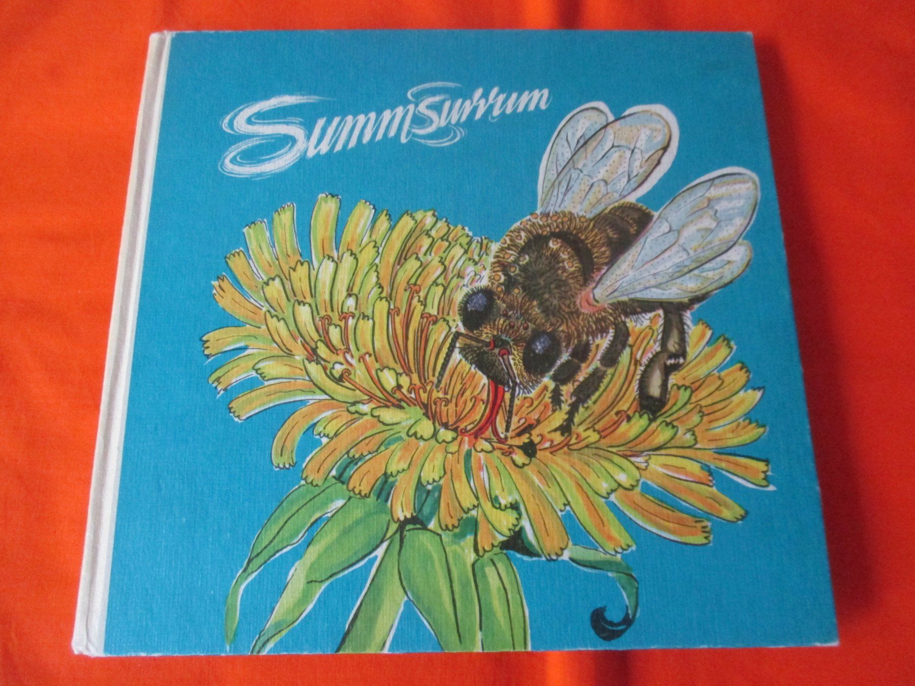 Bücher: Bilderbuch Summ Surrum, Traudel Hoffmann, DDR – Gebraucht aus Birsfelden von alles-muss-raus